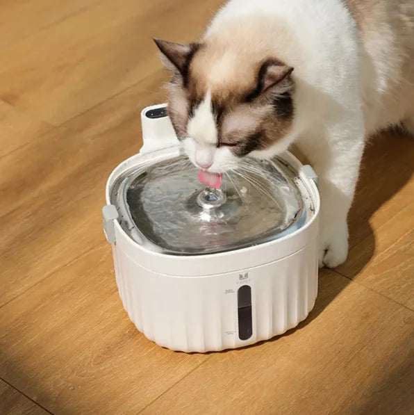 Purr & Flow — Automatic Cat Water Fountain