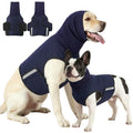 PawVita Ease calming anxiety wrap on a dog