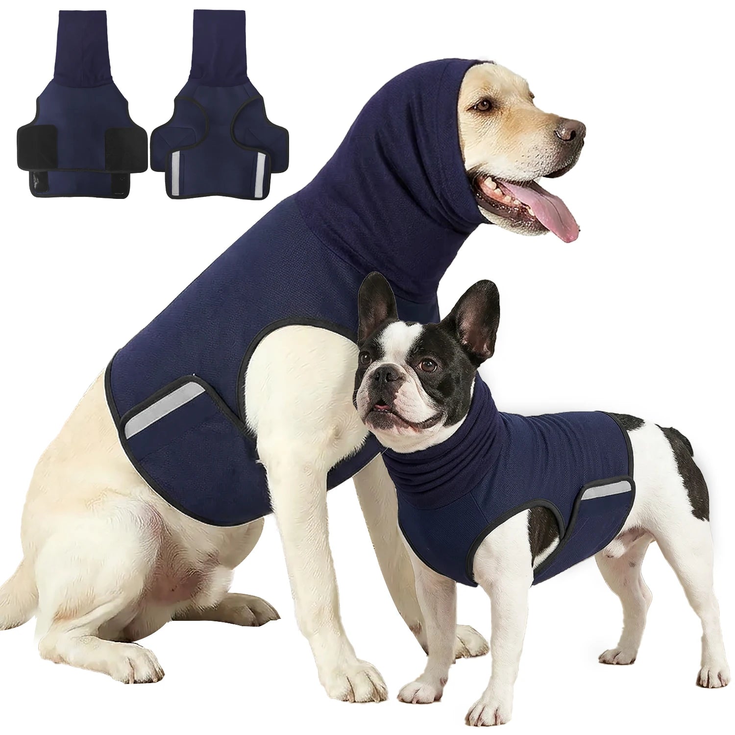 PawVita Ease calming anxiety wrap on a dog